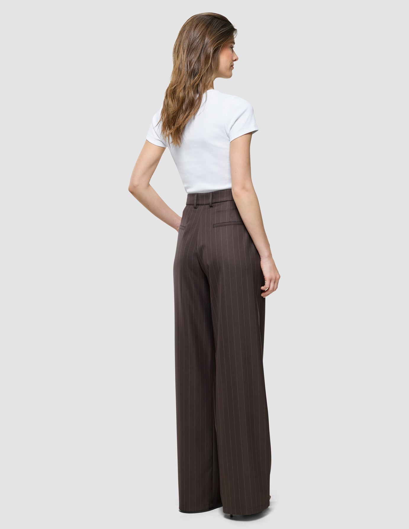 Women Raina Pants Wide Chestnut Pinstripe